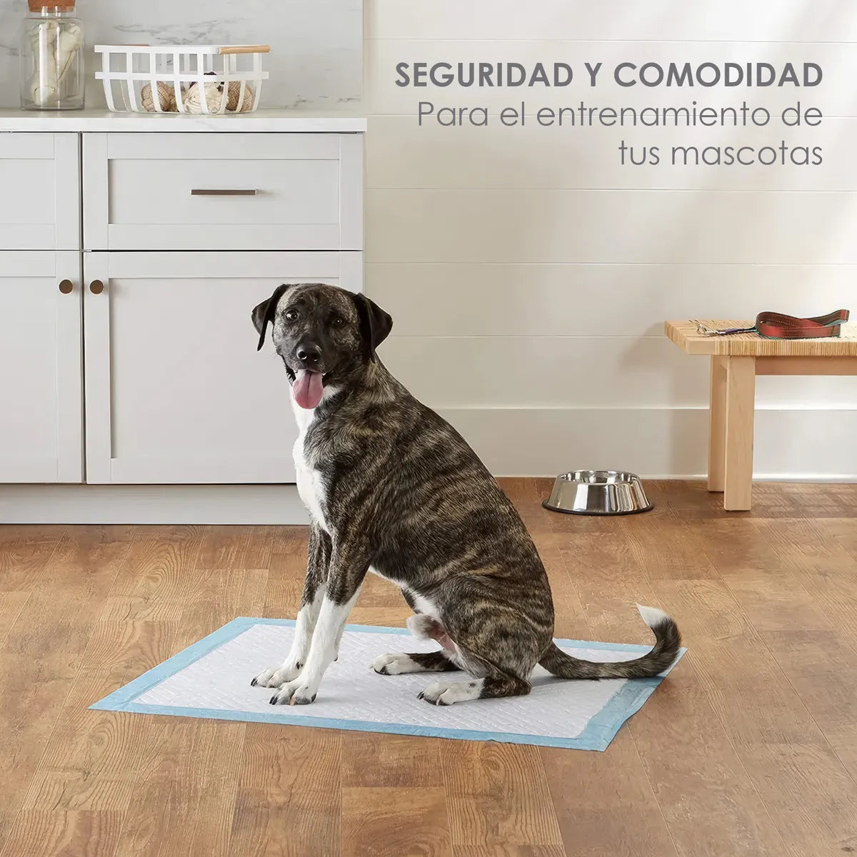 21 Kits Pañales Almohadillas De Entrenamiento Para Mascotas por Mayoreo