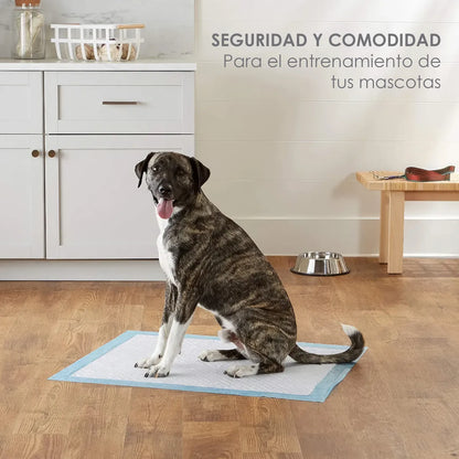 21 Kits Pañales Almohadillas De Entrenamiento Para Mascotas por Mayoreo